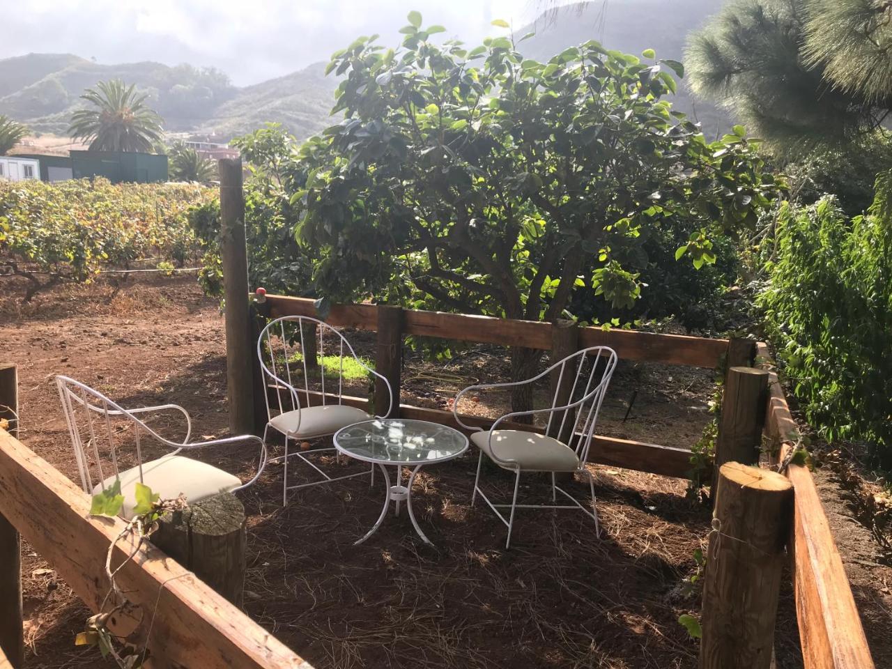 Finca El Vergel Rural Tegueste Exterior photo