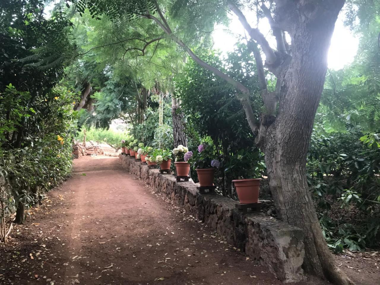 Finca El Vergel Rural Tegueste Exterior photo